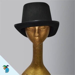 Sombrero Copa 